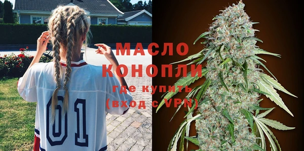 скорость Гусев