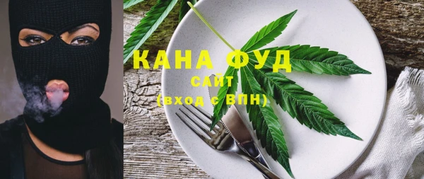 скорость Гусев