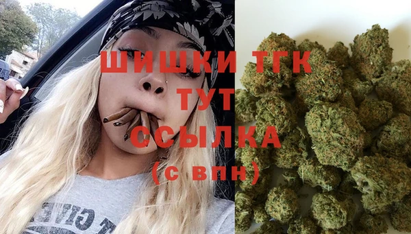 скорость Гусев