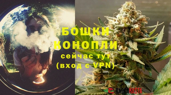 тгк Гусь-Хрустальный